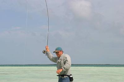 u45/ksproule/medium/29063413.IMG_3248.jpg