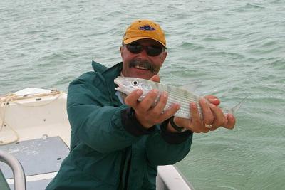 u45/ksproule/medium/29063466.IMG_3300.jpg