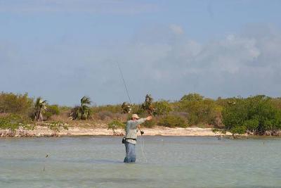 u45/ksproule/medium/29063495.IMG_3327.jpg
