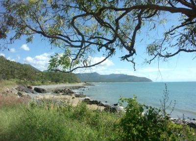 From the coast road to Port Douglas
