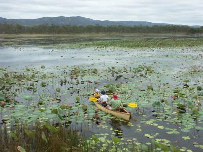Canoeing on the lagoon, Mareeba Wetlands