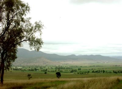 From the roadside, Hunter Valley