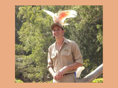 Major Mitchell Cockatoo and friend