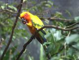 In Bird World