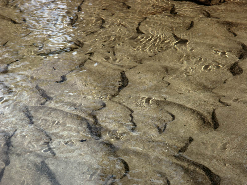 Water flowing in a shallow sandy creek