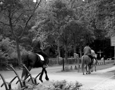 Neighbours on horseback