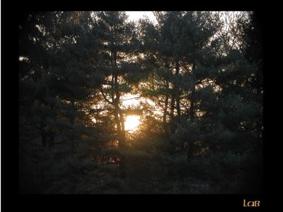 u45/lbonja/medium/39817615.wintersunset.jpg