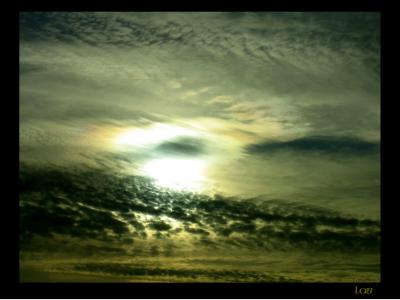 u45/lbonja/medium/39853069.morningsun.jpg