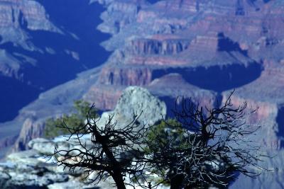 Grand Canyon 0471