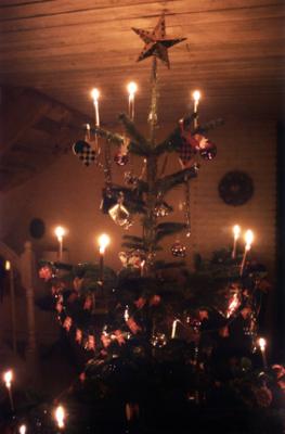 u45/lcarlsen/medium/39836257.pDAN163_Christmastree.jpg
