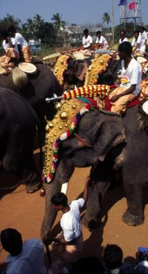 u45/lcarlsen/medium/39867739.tIN44_Procession_Trichur.jpg