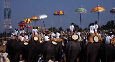 u45/lcarlsen/medium/39867741.tIN51_Procession_Trichur.jpg