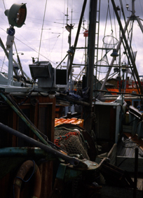 boDAN557_Fishingboat_Bornho.jpg