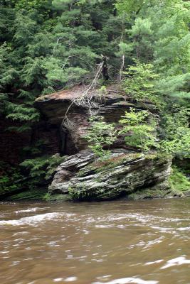IMG_6925 copy.jpg