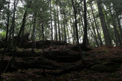 IMG_6935 copy.jpg