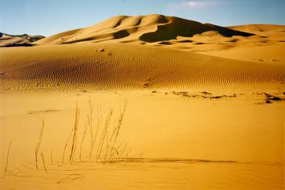 Sahara desert, Merzouga
