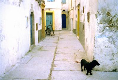 Essaouira medina