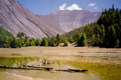 u45/lisdale/medium/29398889.03NEP_2_29PisangManangDstAC.jpg