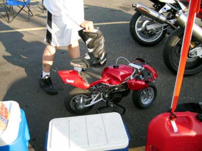 pocket-bike.jpg
