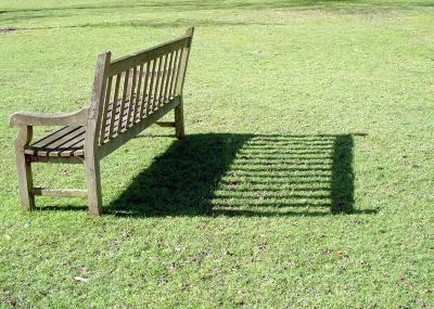 Bench - Kew Gardens, Britain.