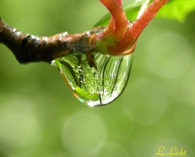 Raindrop 044a.jpg
