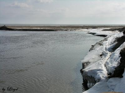 Mouth of the Pike 3793.jpg