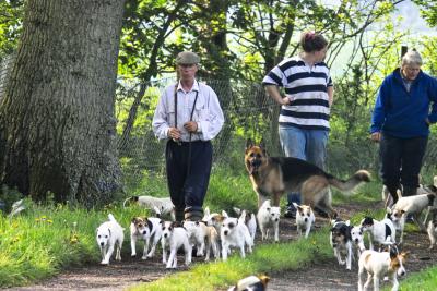 Eddie Chapman with his terriers