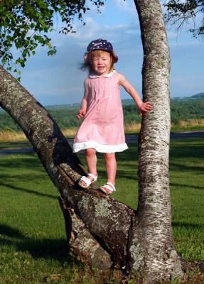 emma-tree-m9062.jpg