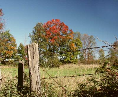 fall-04-m10141.jpg