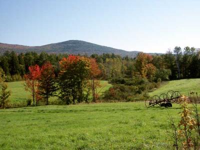fall-04-m10144.jpg
