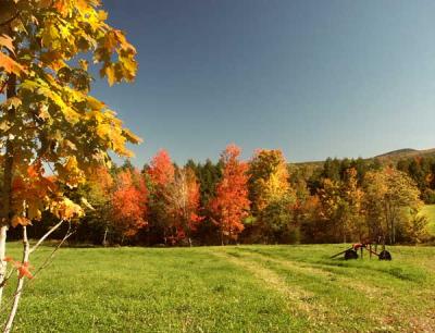 fall-04-m10150.jpg
