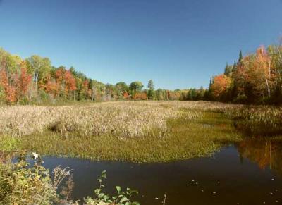 fall-04-m10179.jpg