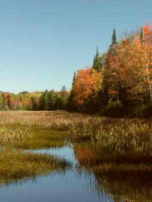 fall-04-m10181.jpg