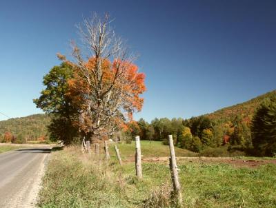fall-04-m10183.jpg