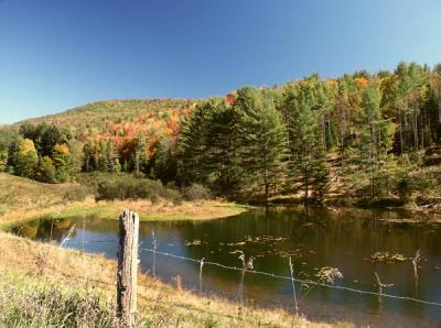 fall-04-m10185.jpg