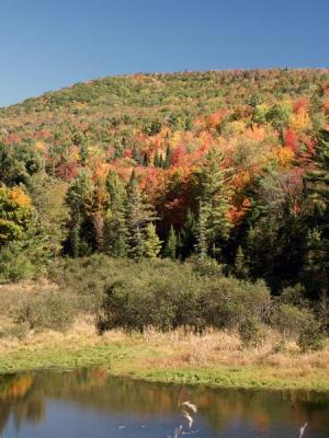 fall-04-m10188.jpg