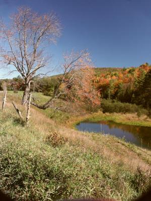 fall-04-m10190.jpg
