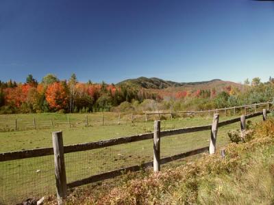 fall-04-m10196.jpg
