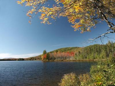 martin-meadow-pond-m10202.jpg
