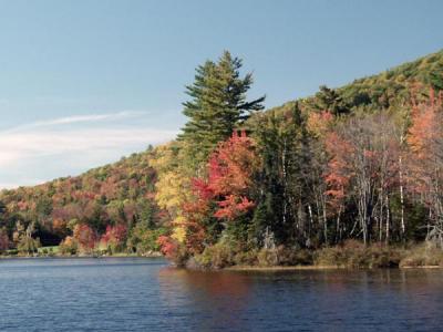 martin-meadow-pond-m10203.jpg