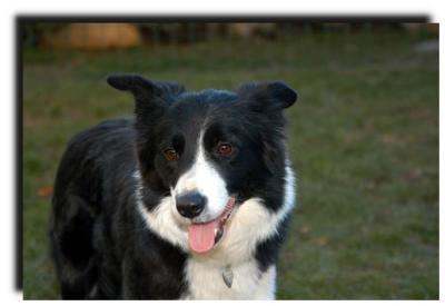 milly_0017