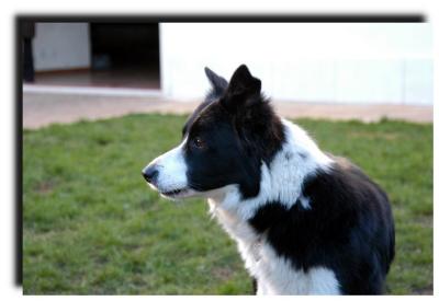 milly_0039_2