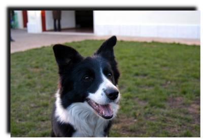 milly_0040_2