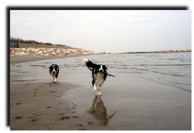 willy_and_lussy_6536