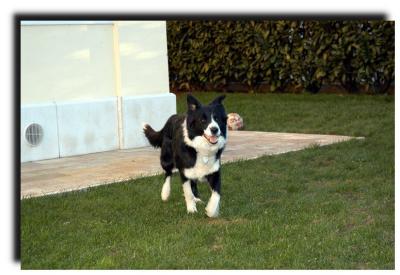 milly_0008