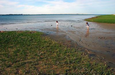 Kids at the Beach