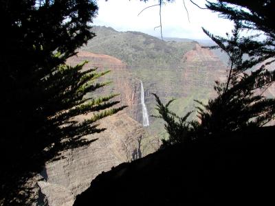 Waiapo'o Falls framed by trees