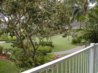 Condo grounds
