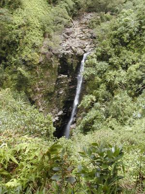 Waterfall on Hana Highway