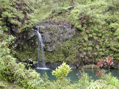 Falls at Pua'a Ka'a Park